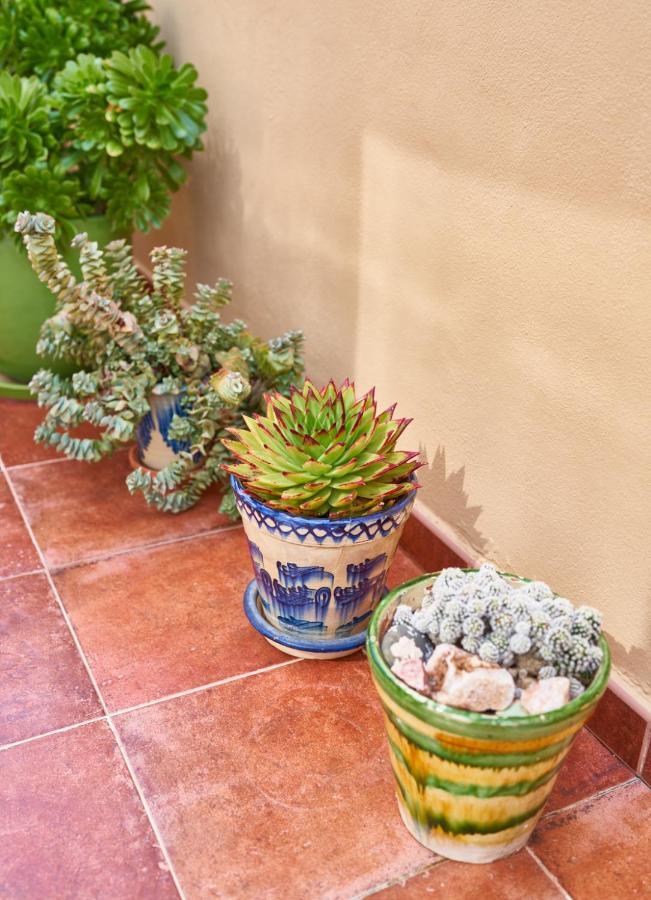 El Agave El Pozo de los Frailes Kültér fotó