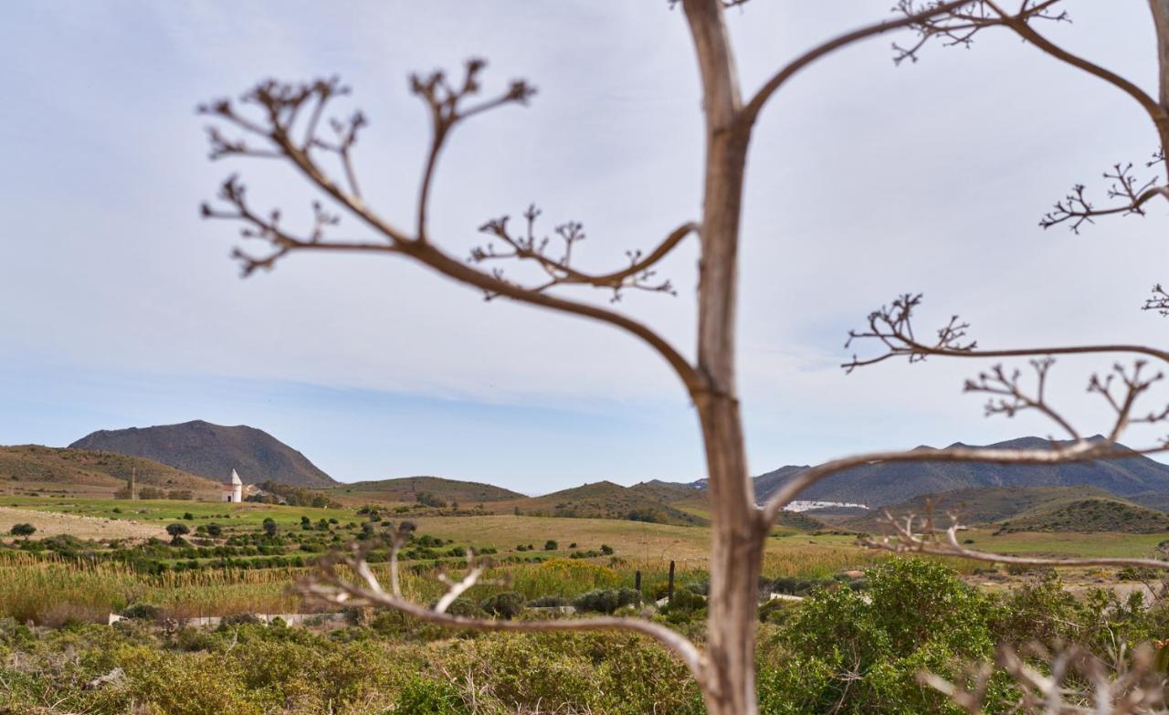 El Agave El Pozo de los Frailes Kültér fotó